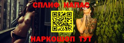 индика Ирбит