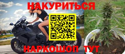 индика Ирбит