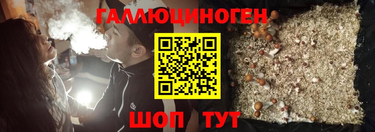 Псилоцибиновые грибы прущие грибы Лангепас