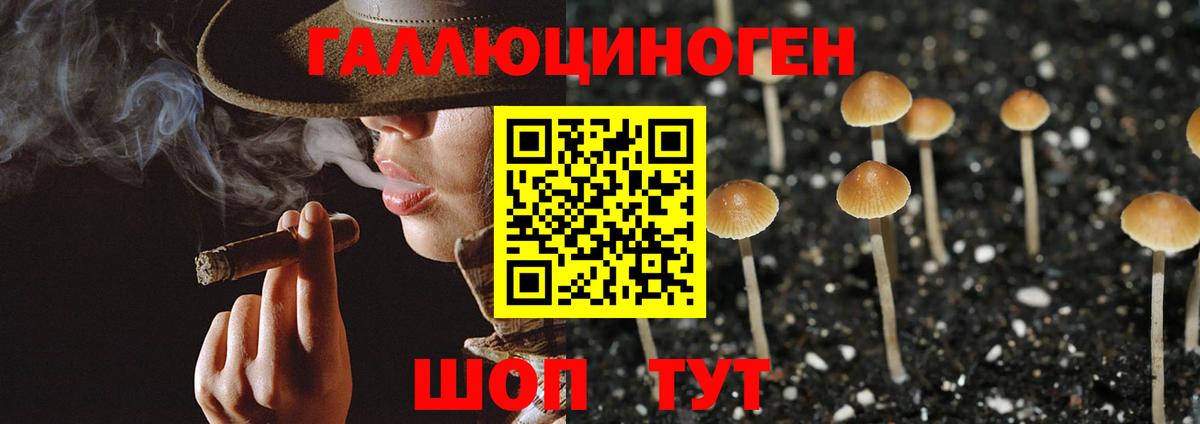 Псилоцибиновые грибы MAGIC MUSHROOMS  Галлюциногенные грибы мухоморы  Лангепас  Вход с VPN 